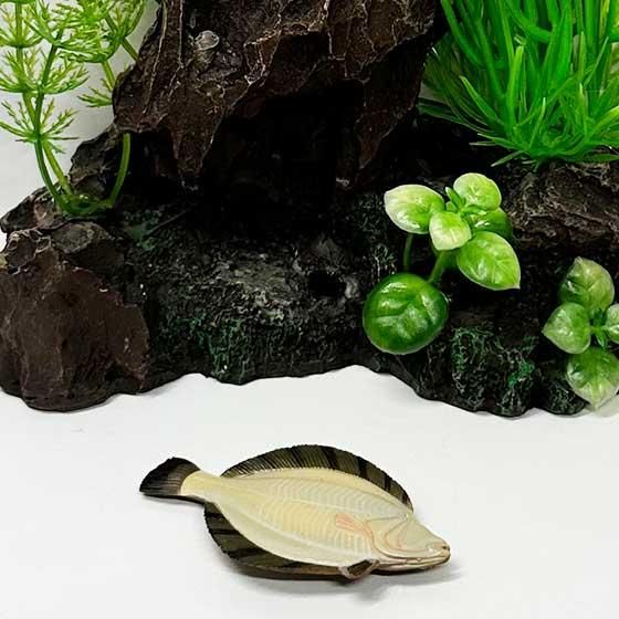 ユージン 原色図鑑シリーズ 原色淡水魚図鑑I（改訂版