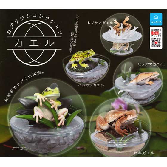 クオリア　カプリウムコレクション　カエル　全5種フルセット　TC02704