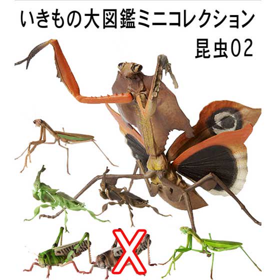 バンダイ　いきもの大図鑑ミニコレクション　昆虫02　ノーマル6種セット　BC01182