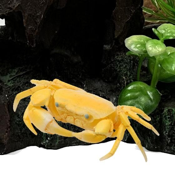 サワガニ - ガシャポン,フィギュア,トミカ,食玩,販売,通販,大阪 サワガニ - ガシャポン,フィギュア,トミカ,食玩,販売,通販,大阪