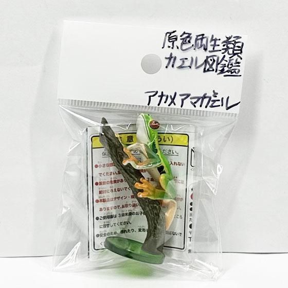 ユージン 原色両生類カエル図鑑 新改訂版 アカメアマガエル