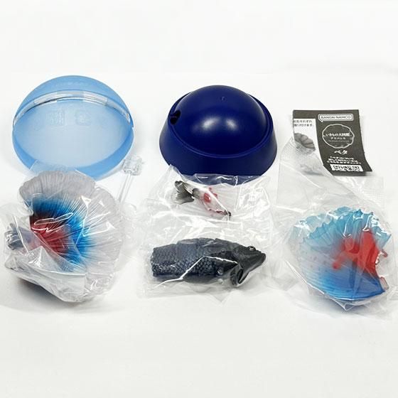 新品未開封　いきもの大図鑑アドバンス ベタ 全4種セット いきもの大図鑑アドバンス ベタ｜ガシャポンオフィシャルサイト