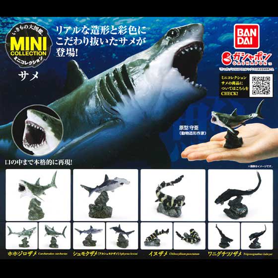 バンダイ　いきもの大図鑑ミニコレクション　サメ　全4種フルセット　BC01272