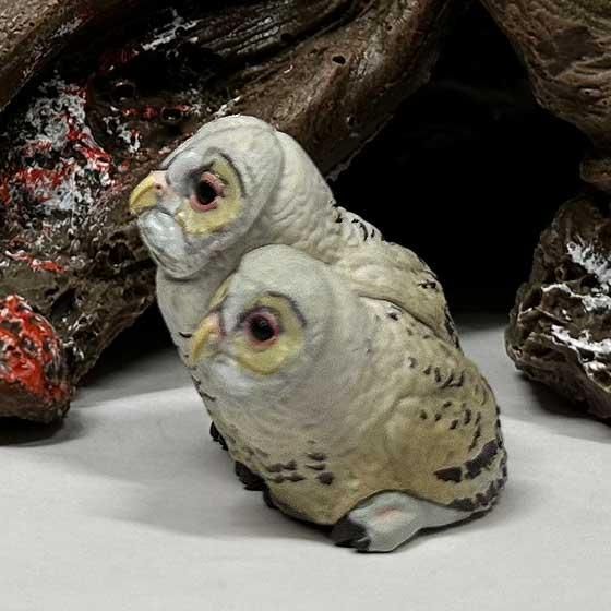 カプセルQ フクロウ大全II ×3点セット Amazon | カプセルQ 福をよぶ フクロウ大全II [全5種セット