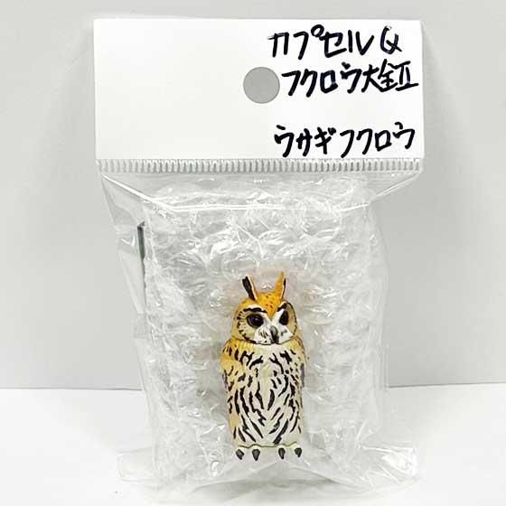 (未使用･未開封品)カプセルQミュージアム 福をよぶ フクロウ大全2 ［2.ウサギフクロウ］(単品) 海洋堂 カプセルQミュージアム 福をよぶ フクロウ大全II ウサギ