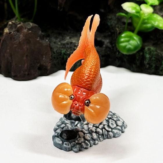 原色鑑賞魚図鑑I - ガシャポン,フィギュア,トミカ,食玩,販売