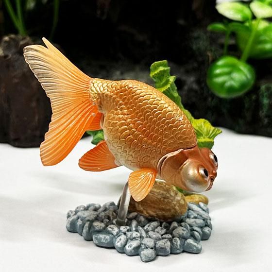 原色観賞魚図鑑 Ⅰ｜商品情報｜タカラトミーアーツ