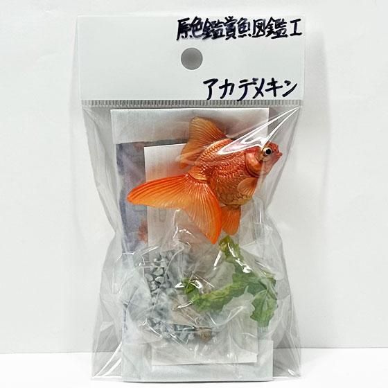 T*様 ユージン 原色図鑑シリーズ10 原色海水魚図鑑I 28個セット Amazon