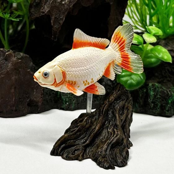 原色鑑賞魚図鑑I - ガシャポン,フィギュア,トミカ,食玩,販売