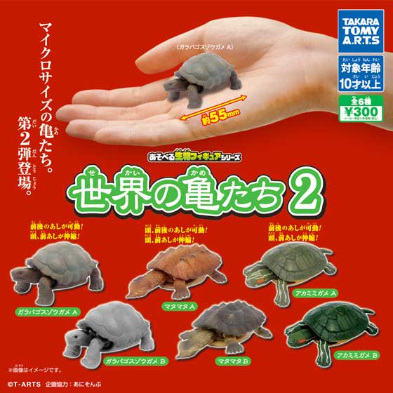 タカラトミーアーツ 世界の亀たち２ 全６種フルセット