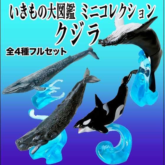 大図鑑No.407 海の生き物⭐︎ギフト　プレゼント　ジンベイザメ　シャチ　くじら 大図鑑No.407 海の生き物⭐︎ギフト プレゼント ジンベイザメ シャチ