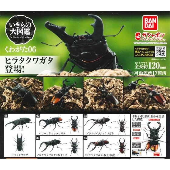 バンダイ いきもの大図鑑 くわがた06 全5種フルセット