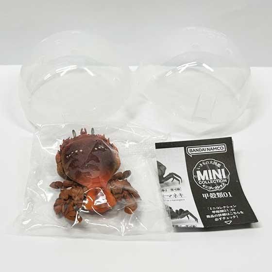 バンダイ いきもの大図鑑ミニコレクション 甲殻類01 アサヒガニ