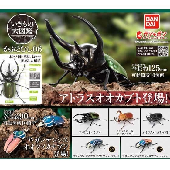 バンダイ いきもの大図鑑 かぶとむし06 全5種フルセット