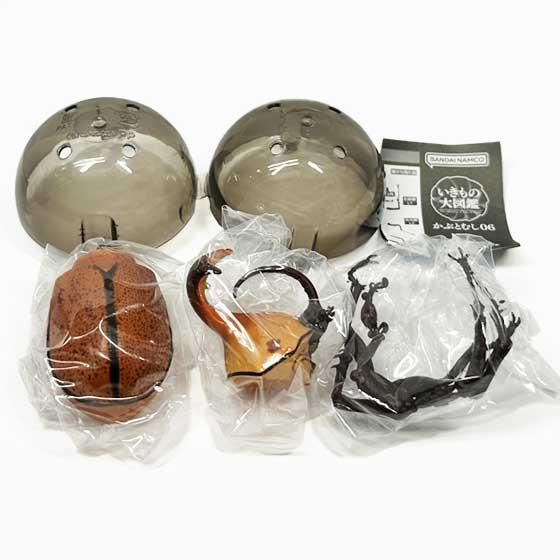 バンダイ いきもの大図鑑 かぶとむし06 クラヴィゲールタテヅノカブト