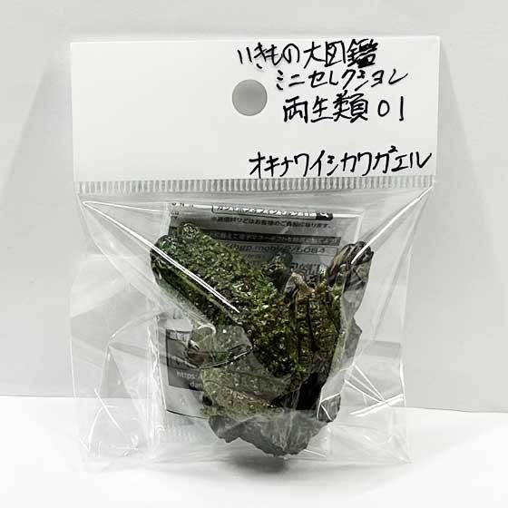 バンダイナムコ SOFVIMATES カエル 全1種 楽天市場】コバルトヤドクガエル 14864 動物 かえる カエル 蛙