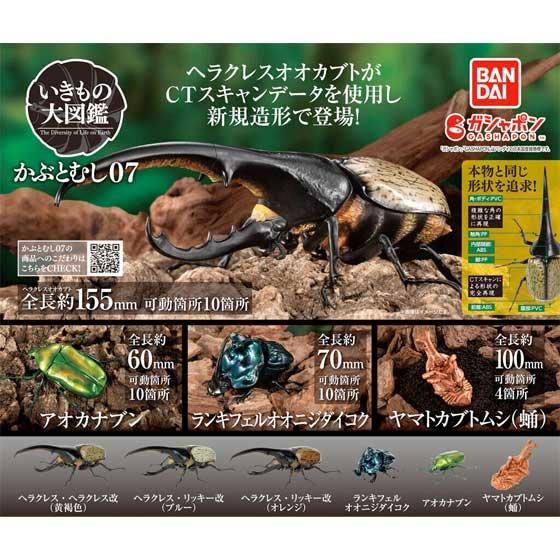 バンダイ いきもの大図鑑 かぶとむし07 全6種フルセット