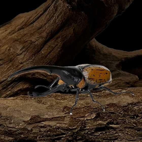 バンダイ いきもの大図鑑 かぶとむし07 ヘラクレス・リッキー改