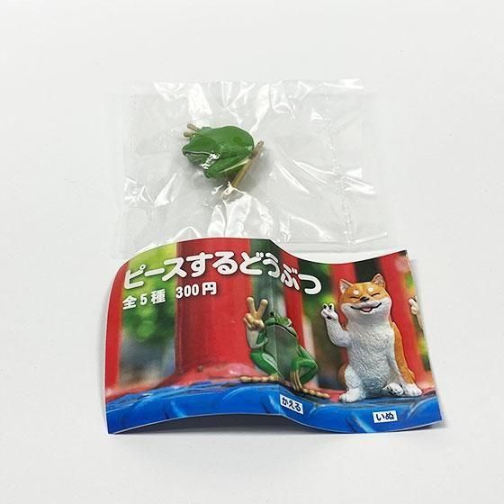 かえるたいちょう かえる,カエル,グラス