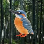 Nature of Japan ܤΤ01糧ߡTC03580