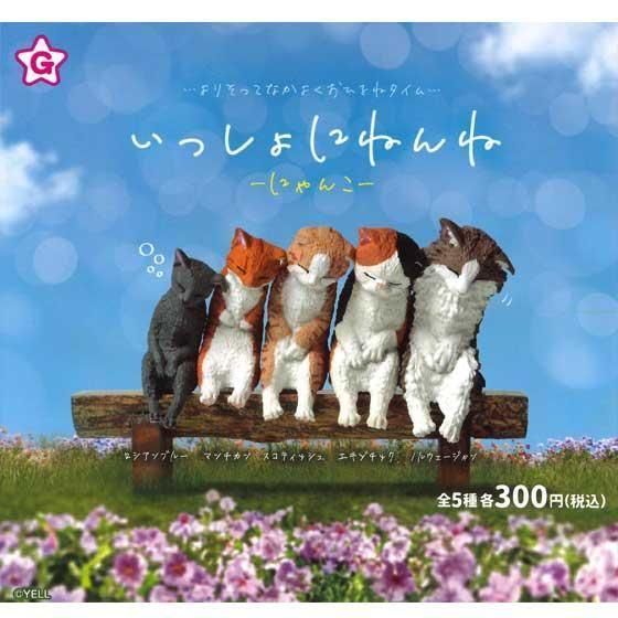  롡äˤͤ ˤ󤳡 5ե륻åȡTC03592
