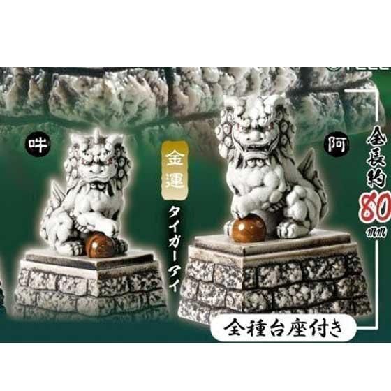 ブルータイガーアイ 龍亀 ロングイ2匹セット ブルータイガーアイ 龍亀