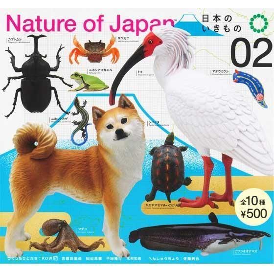Nature of Japan ܤΤ0210ե륻åȡTC03608