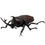 いきもん Nature of Japan 日本のいきもの02 カブトムシ TC03611 いきもん Nature of Japan 日本のいきもの02 カブトムシ TC03611