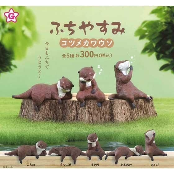  롡դ䤹ߡĥᥫ復5ե륻åȡTC03657
