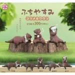 롡դ䤹ߡĥᥫ復5ե륻åȡTC03657