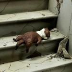 롡դ䤹ߡĥᥫ復ऱTC03661