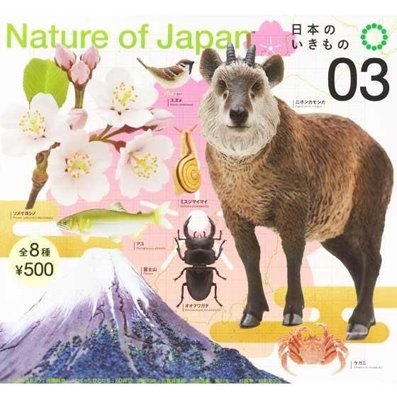  Nature of Japan ܤΤ038ե륻åȡTC03663