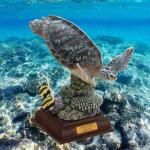 󡡥ͥ㡼ƥ˥顼 ޸  NTCߥᡡTC03677