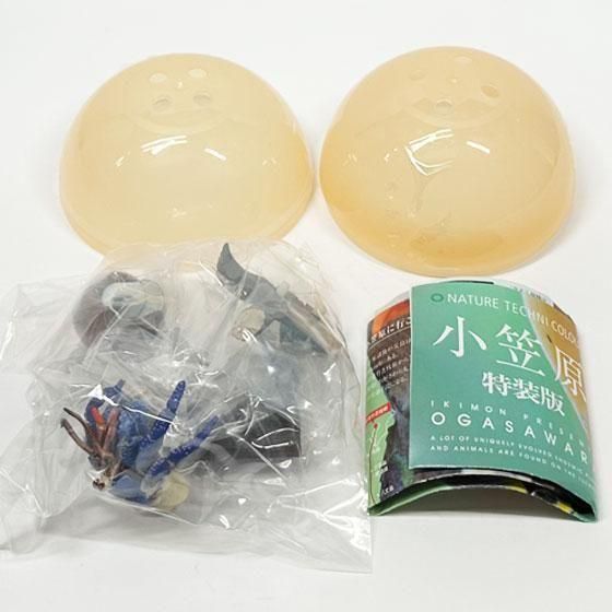 いきもん ネイチャーテクニカラー 小笠原 特装版 NTC ムラサキ