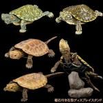 ޴եɥХ󥹡02 դзǥץ쥤ɥå 4ե륻åȡBC01644