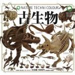 NATURE TECHNI COLOURʥͥ㡼ƥ˥顼ˡʪ6ե륻åȡTC03701