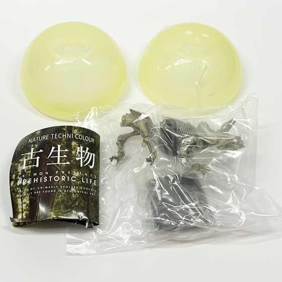 変木(龍神木)天然木根、希少、珍品、一点物❗ 変木(龍神木)天然木根、希少、珍品、一点物❗