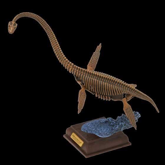 ネイチャーテクニカラー　古生物　恐竜　生き物　フィギュア　カプセルトイ ネイチャーテクニカラー 古生物 全6種セット ガチャ フィギュア