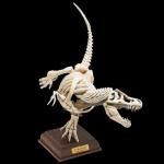 NATURE TECHNI COLOURʥͥ㡼ƥ˥顼ˡʪƥΥ륹 ɸܿTC03705