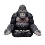 ƲץQƣˮͺưʪ襬λ֡顡KG01114