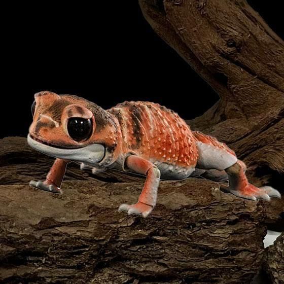 いきもの大図鑑アドバンス ナメハダタマオヤモリ ナメハダタマオヤモリ(レッド)  BC01677