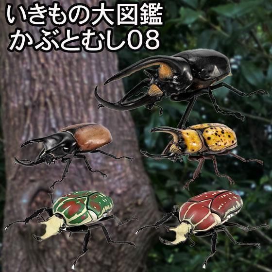 バンダイ いきもの大図鑑 かぶとむし08 全5種フルセット BC01698
