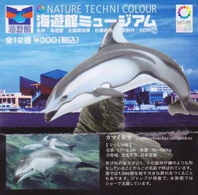 海遊館限定 Nature Techni Colour 海遊館ミュージアム カマイルカ Tc0095 ガシャポン フィギュア トミカ 食玩 販売 通販 大阪 日本橋 Toy S Zero トイズゼロ