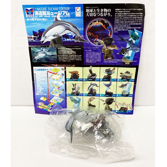 フィギュア　海遊館ミュージアム(全12種)コンプリートアオウミガメ