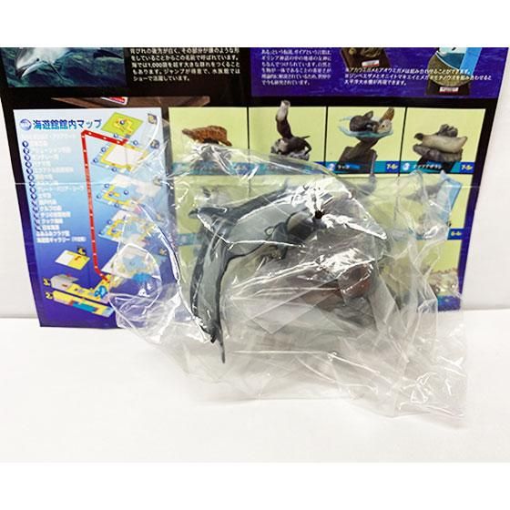 海遊館限定　NATURE TECHNI COLOUR 海遊館ミュージアム　カマイルカ TC0095 -  ガシャポン,フィギュア,トミカ,食玩,販売,通販,大阪,日本橋, 『Toy's Zero』 トイズゼロ