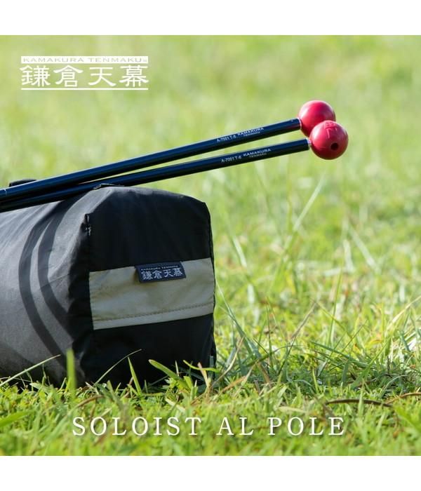 ڳŷ  SOLOIST AL POLE