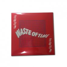 DYGL_[Waste of Time / Sightless]7inch