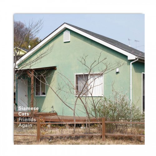 シャムキャッツ_4th Album[Friends Again]CD