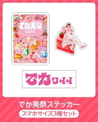 <img class='new_mark_img1' src='https://img.shop-pro.jp/img/new/icons5.gif' style='border:none;display:inline;margin:0px;padding:0px;width:auto;' />Ǥ2025_ƥå(3糧å)