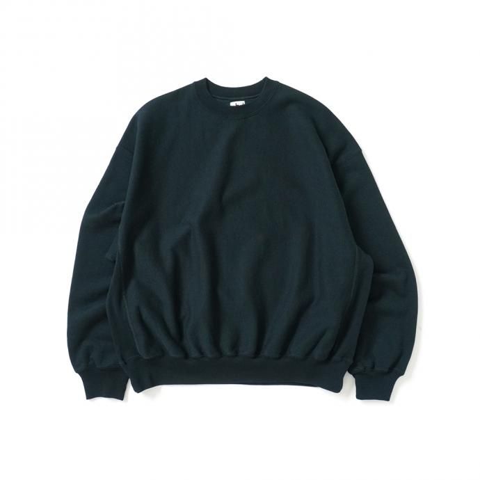 162941366 blurhms ROOTSTOCK / Soft & Hard Sweat Crew-neck P/O Big - BlackGreen ROOTS21F18 01